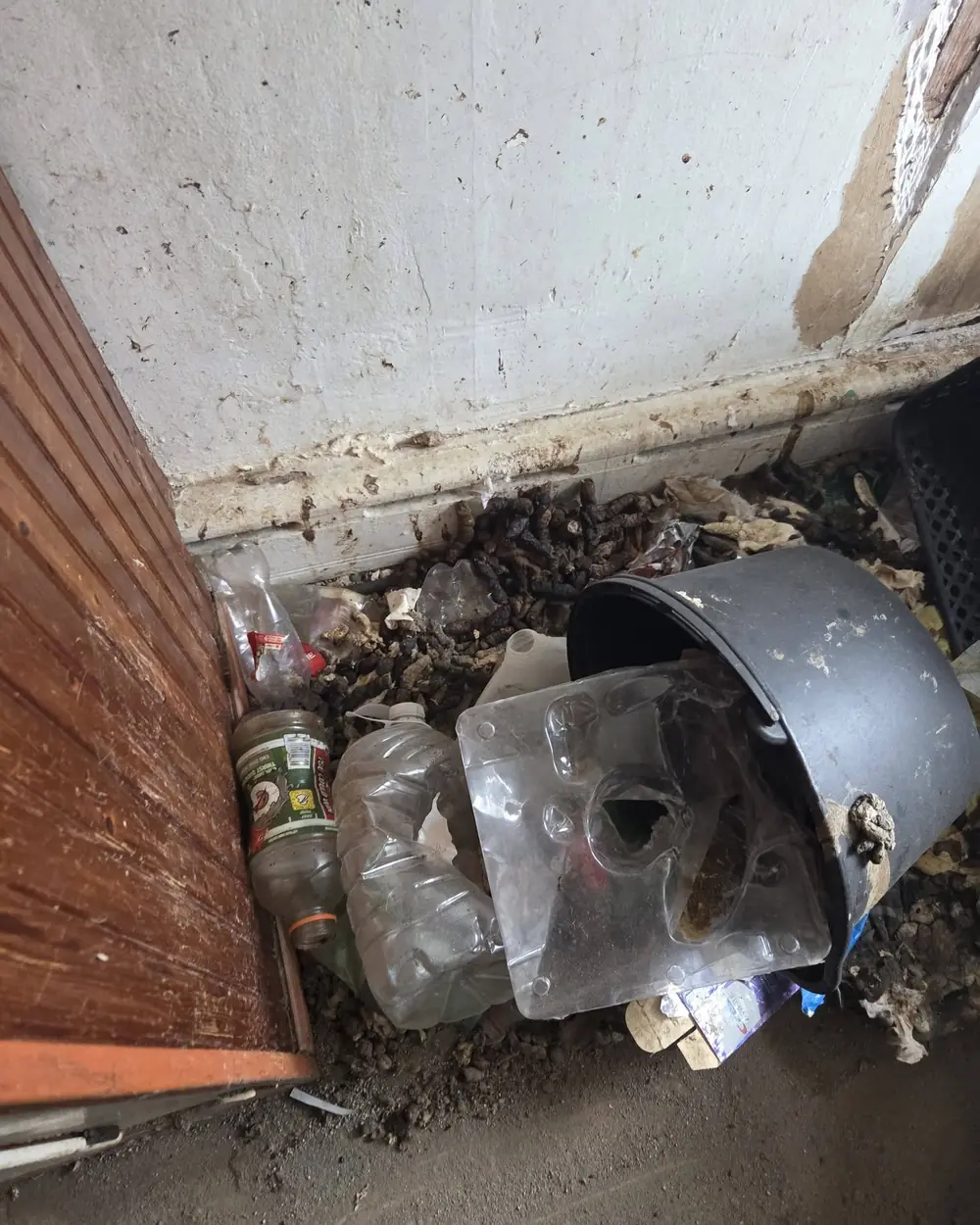 Residential Cleanouts