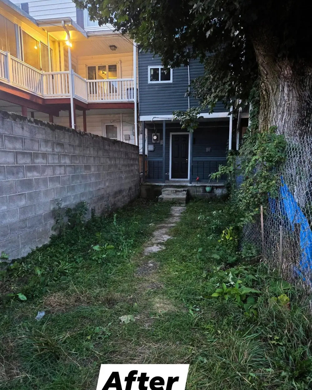 The same back yard cleared down to the grass